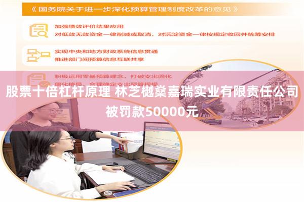 股票十倍杠杆原理 林芝樾燊嘉瑞实业有限责任公司被罚款50000元