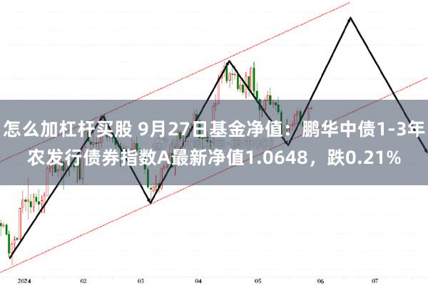 怎么加杠杆买股 9月27日基金净值：鹏华中债1-3年农发行债券指数A最新净值1.0648，跌0.21%