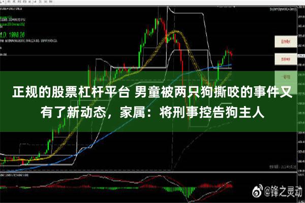 正规的股票杠杆平台 男童被两只狗撕咬的事件又有了新动态，家属：将刑事控告狗主人