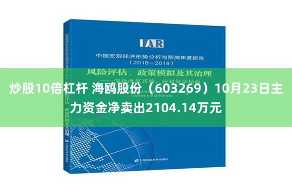 炒股10倍杠杆 海鸥股份（603269）10月23日主力资金净卖出2104.14万元