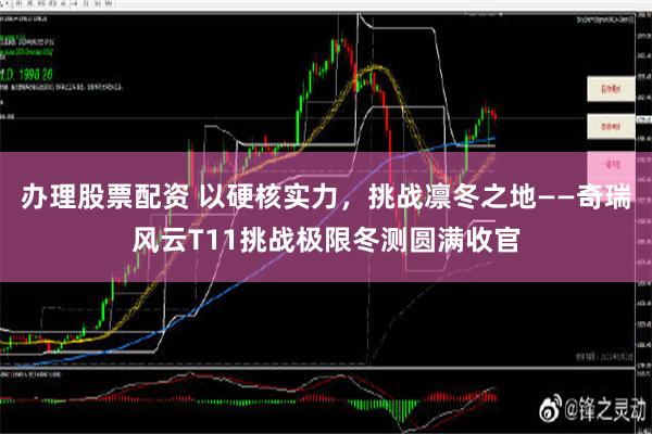 办理股票配资 以硬核实力，挑战凛冬之地——奇瑞风云T11挑战极限冬测圆满收官