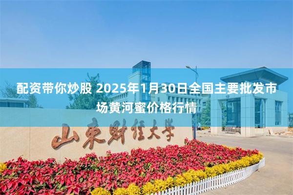 配资带你炒股 2025年1月30日全国主要批发市场黄河蜜价格行情