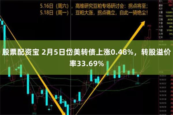 股票配资宝 2月5日岱美转债上涨0.48%，转股溢价率33.69%