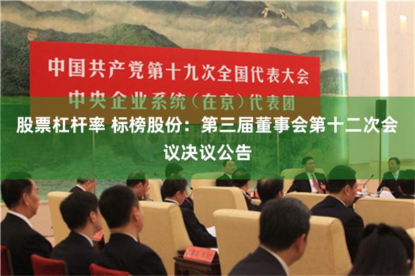 股票杠杆率 标榜股份：第三届董事会第十二次会议决议公告